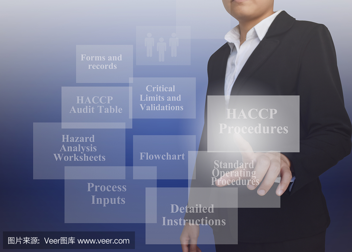 具有HACCP程序演示元素的女商人。